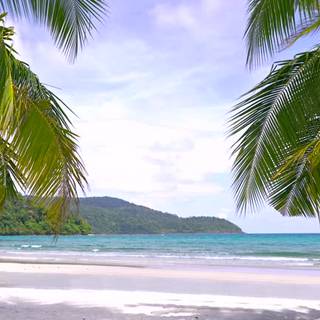 Beautiful 4k Tropical Beach Wallpaper