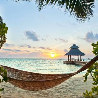 Beautiful 4k Tropical Beach Wallpaper