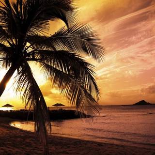 Beautiful 4k Tropical Beach Wallpaper