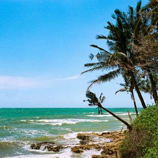 Beautiful 4k Tropical Beach Wallpaper