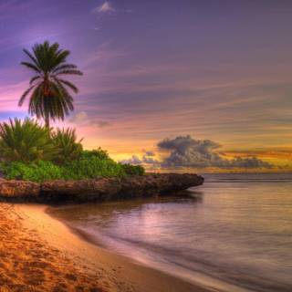 Beautiful 4k Tropical Beach Wallpaper