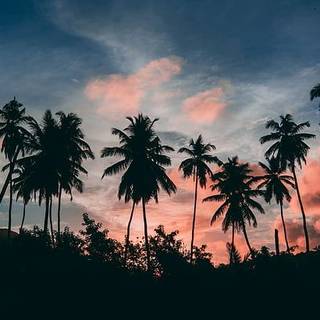 Beautiful 4k Tropical Beach Wallpaper