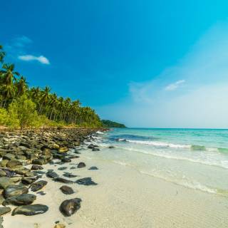 Beautiful 4k Tropical Beach Wallpaper