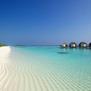 Beautiful 4k Tropical Beach Wallpaper