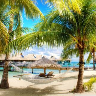 Beautiful 4k Tropical Beach Wallpaper