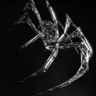 3D Spider