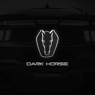 4k Ford Mustang Dark Horse Wallpaper