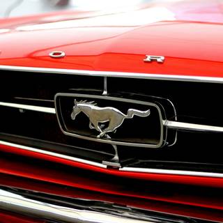 4k Ford Mustang Wallpaper