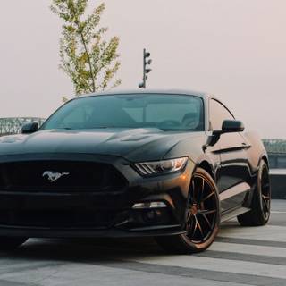 4k Ford Mustang Wallpaper