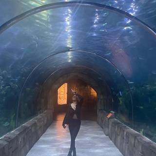 very demure, very cutesy