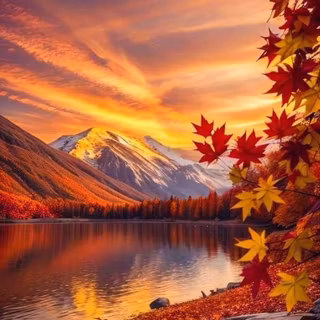 Fall Scenery