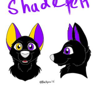 Fursona (do not steal