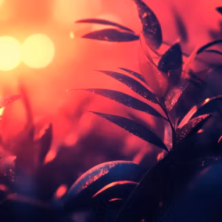 Warm Glow of Nature.