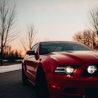 4k Ford Mustang Wallpaper