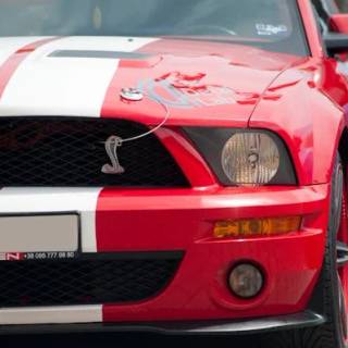 4k Ford Mustang Wallpaper