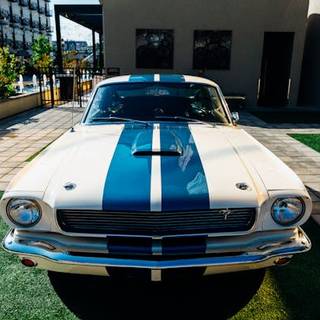 4k Ford Mustang Wallpaper