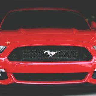4k Ford Mustang Wallpaper