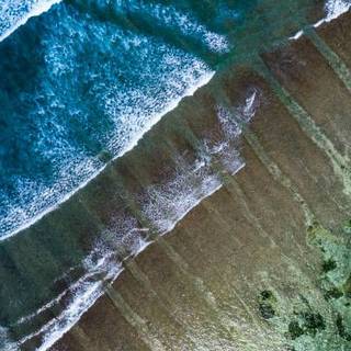 Beautiful 4k Tropical Beach Wallpaper