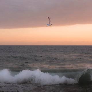 Beautiful 4k Tropical Beach Wallpaper