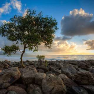 Beautiful 4k Tropical Beach Wallpaper