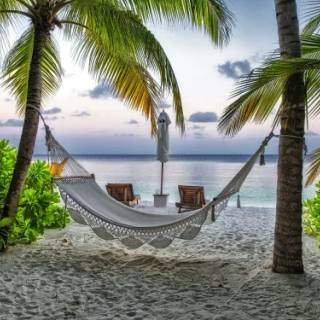 Beautiful 4k Tropical Beach Wallpaper