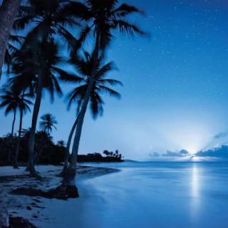 Beautiful 4k Tropical Beach Wallpaper