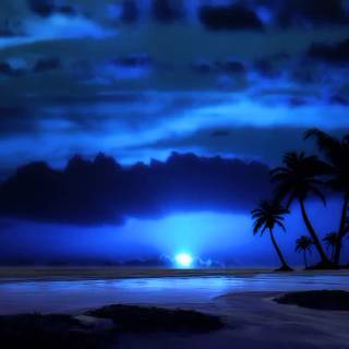 Beautiful 4k Tropical Beach Wallpaper