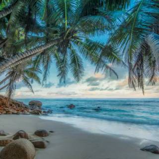 Beautiful 4k Tropical Beach Wallpaper