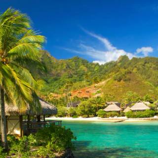 Beautiful 4k Tropical Beach Wallpaper