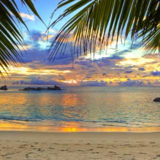 Beautiful 4k Tropical Beach Wallpaper