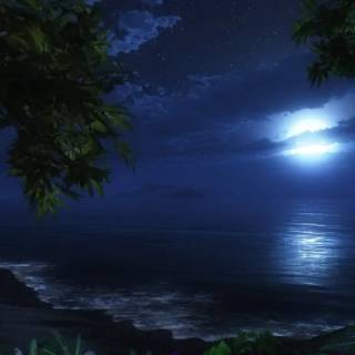 Beautiful 4k Tropical Beach Wallpaper