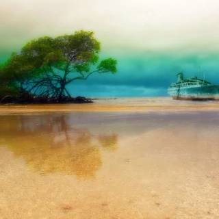 Beautiful 4k Tropical Beach Wallpaper