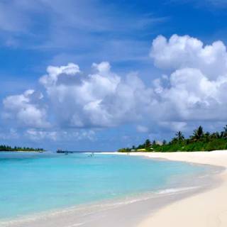 Beautiful 4k Tropical Beach Wallpaper