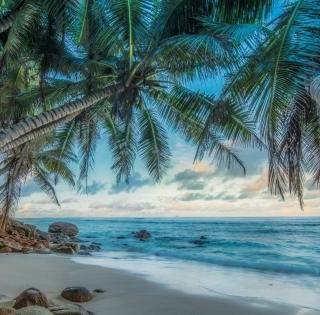 Beautiful 4k Tropical Beach Wallpaper