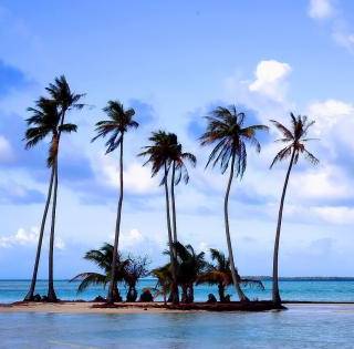 Beautiful 4k Tropical Beach Wallpaper