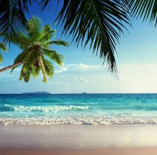 Beautiful 4k Tropical Beach Wallpaper
