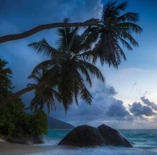 Beautiful 4k Tropical Beach Wallpaper