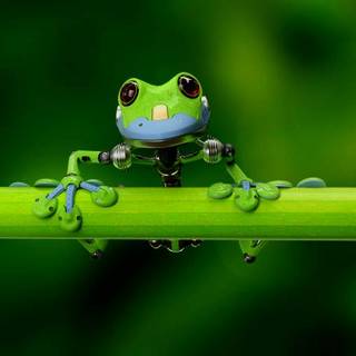 cute robot frog