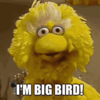 big bird