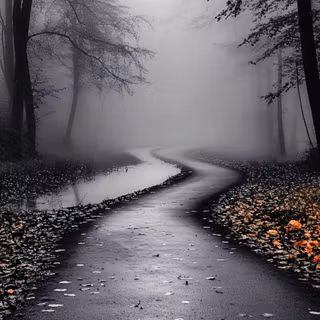 Foggy Road