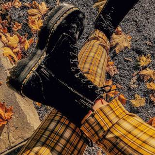 Fall aesthetic 