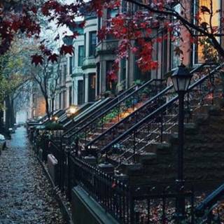 Rainy fall aesthetic 