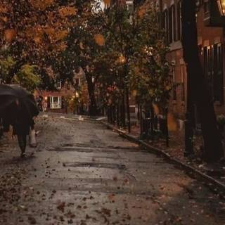 Rainy fall aesthetic 