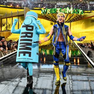 LOGAN THE PAUL MAVERICK