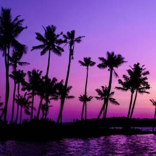 Pink Sunset on Beach