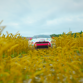 Forza Horizon 4 Wallpaper
