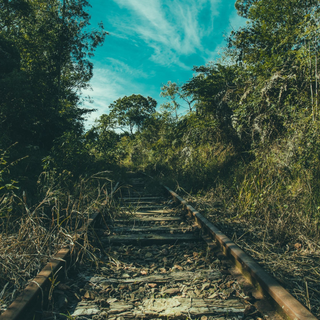 @12king34oad56 Saleem Rajput oad Dadfathana