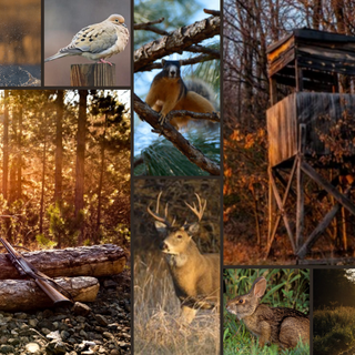 Hunting collage 