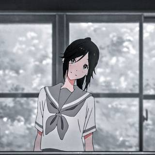 ~ ɴᴏᴢᴏᴍɪ ᴋᴀꜱᴀᴋɪ ~