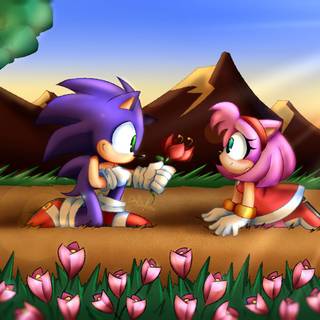 Sonic Likes Amy Rose
